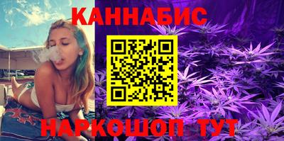 стафф Славгород