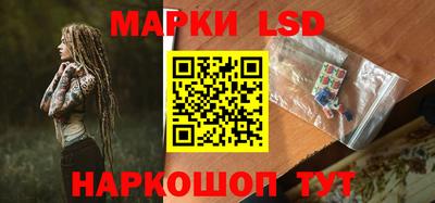 стафф Славгород