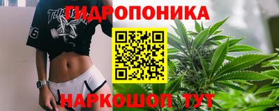 мдма Сланцы